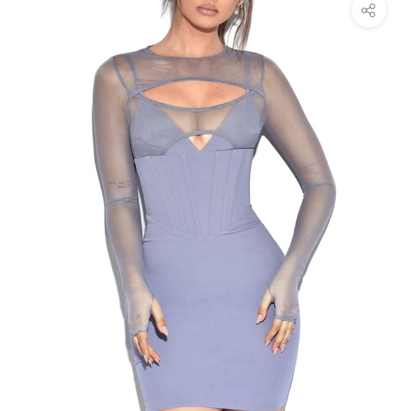 Miss Circle | Dresses | Winston Grey Mesh Long Sleeve Corset Crepe Dress Xs  Us 2 | Poshmark